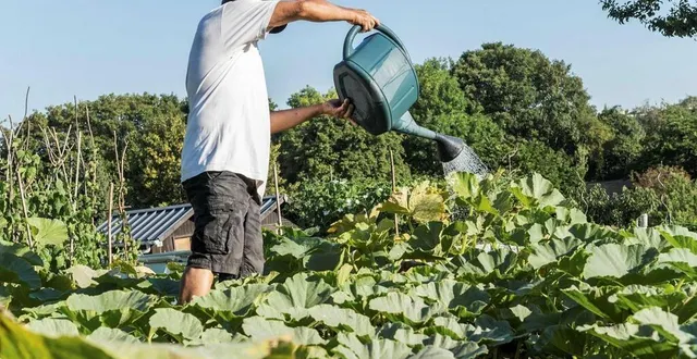 photo  la préfecture de la sarthe a pris, lundi 7 août 2023, un nouvel arrêté concernant la sécheresse dans le département. des mesures de restrictions sont toujours maintenues pour certains professionnels et les particuliers (photo d’illustration).  &copy;  martin roche/ouest-france 