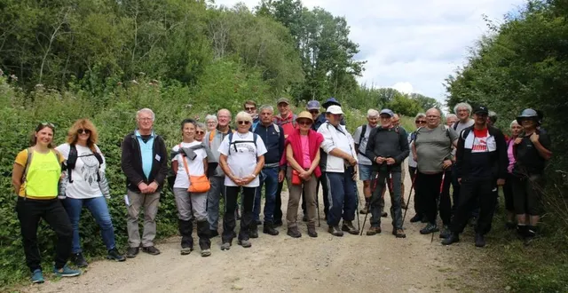 photo  les randonneurs ont pu découvrir dimanche le massif forestier de perseigne.  &copy;  ouest-france 