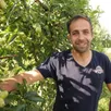photo  pierre leroy dans un de ses vergers de pommes gala à oizé, en juin 2023. 