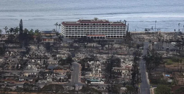photo  vue aérienne de lahaina, le 10 août 2023, après que des feux de forêt poussés par des vents violents ont brûlé la majeure partie de cette ville de l’île maui, à hawaï.  &copy;  marco garcia / reuters 