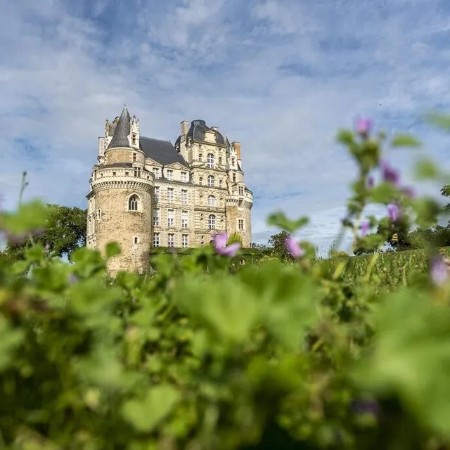 photo le parc arboré du château de brissac-quincé offre des espaces pour se restaurer.  ©  sébastien gaudard