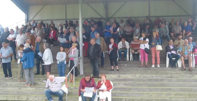 photo  des tribunes bien garnies.  &copy;  ouest-france 