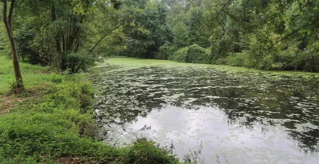 photo  beaupréau, mardi 15 août 2023. eivra, evra, fluvius eboris, hiberis fluvius ou rivière d’ayvre  l’èvre a connu beaucoup de noms avant de se fixer sur l’actuel.  &copy;  co – battiste delfino 