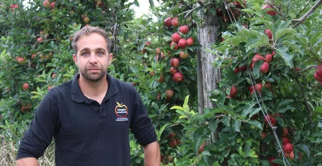photo  depuis quelques années, pierre leroy est confronté à des difficultés de recrutement des travailleurs saisonniers. à l’approche du début de la cueillette des pommes, la maison leroy qu’il dirige avec son frère, organise des journées de recrutement sur site.  &copy;  ouest-france 