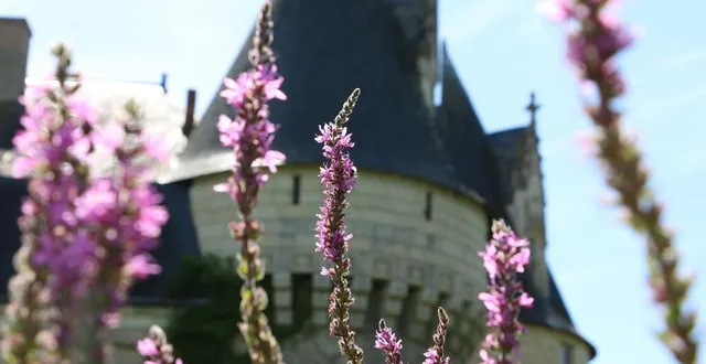 photo  des visites accompagnées des jardins du château de bazouges sont organisées le vendredi et le samedi après-midi pendant l’été.  &copy;  ouest-france 