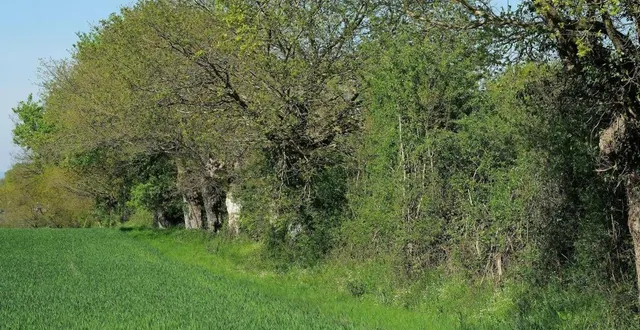 photo  la nouveauté 2023 est la prise en charge par le parc de la création d’un talus pour les bénéficiaires qui le souhaitent.  &copy;  archives ouest-france 
