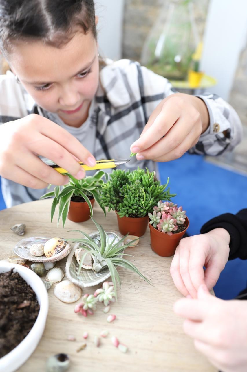 Bombe à graines, terrarium… Cinq idées recyclage pour jardiner avec les  enfants 