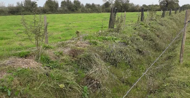 photo  après une analyse technique, 39 candidatures à la plantation de haies ont été validées.  &copy;  pnr normandie-maine 