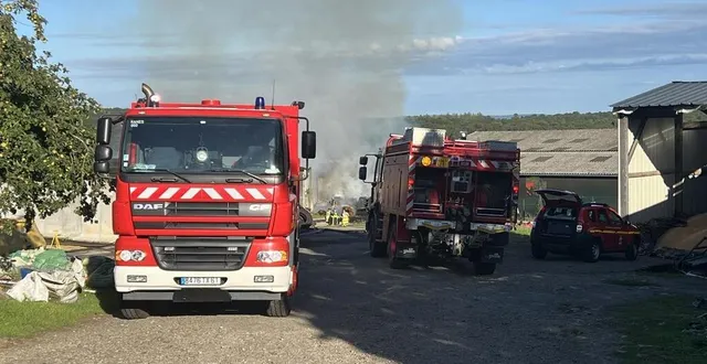 photo  dimanche 20 août 2023, un terrible incendie a ravagé un bâtiment agricole de l’orée-d’écouves, tuant 46 veaux.  &copy;  archives ouest-france 