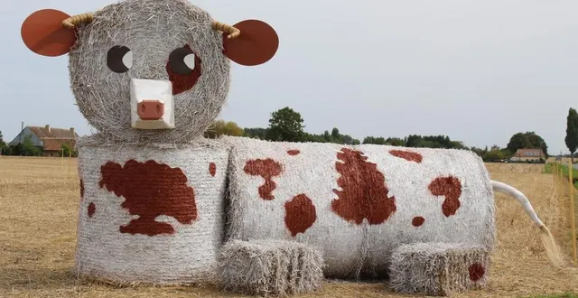 photo  début des festivités du comice de dangeul, vendredi.    &copy;  le maine libre 