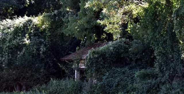 photo  la végétation cache entièrement la petite gare.  &copy;  le maine libre 