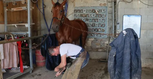 photo  stéphane meunier remet rapidement un fer à jott du bocage, car ce dernier part courir sur l’hippodrome d’enghien-soisy ( val d’oise).  &copy;  ouest-france 