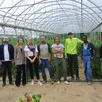 photo bérengère robin (4e à gauche), responsable du pôle solution emploi de tarmac avec à sa gauche, salomé désile, chargée de communication et benjamin sichez, assistant commercial, entourés de virginie et quelques jardiniers, sous les serres de la futaie, à rouillon (sarthe).