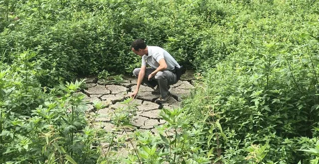 photo  un nouvel arrêté préfectoral, mercredi 30 août 2023, place six bassins en sarthe, soit un de plus que la semaine dernière, en niveau de crise sécheresse. (photo illustration)  &copy;  ouest france 