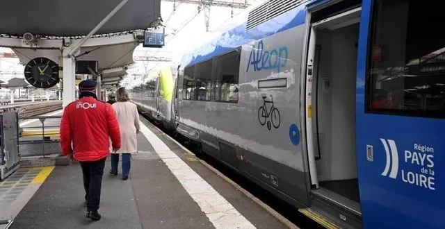 photo  un accident routier a eu lieu au niveau d’un passage à niveau à chalonnes-sur-loire (maine-et-loire) (photo d’illustration).  &copy;  archives marc ollivier/ouest-france 