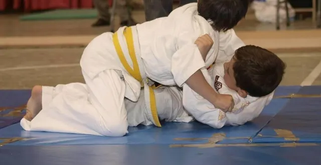 photo  grâce aux associations présentes, les visiteurs pourront découvrir de nombreux sports. comme le judo (photo d’illustration).  &copy;  archives ouest-france 