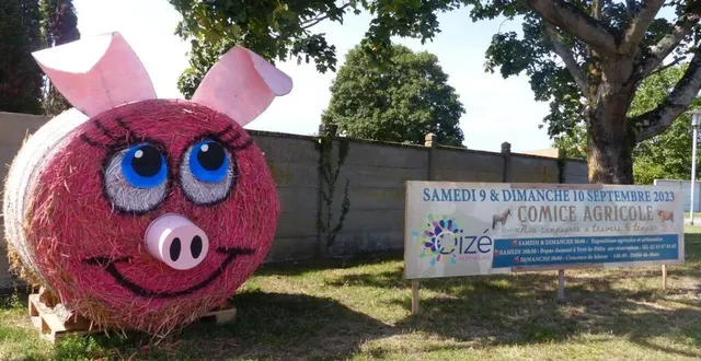 photo  chaque entrée du village annonce le comice qui se tiendra ce week-end sur un terrain situé route de guécélard. les décorations ont été préparées en amont par de nombreux villageois bénévoles.  &copy;  ouest-france 