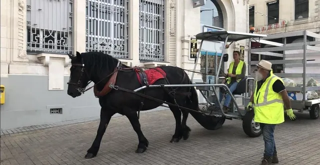 photo  la collecte hippomobile reprendra sa tournée dans le centre-ville du mans mardi 12 septembre 2023.  &copy;  ouest-france 
