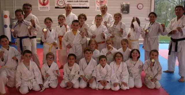 photo  les dirigeants et encadrants du karaté club de perseigne seront présents pour des initiations et démonstrations, ce vendredi.  &copy;  archives ouest-france 