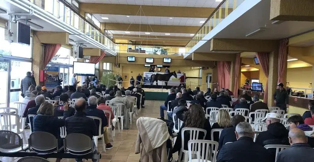 photo  en 2022, les ventes de trotteurs à caen ont généré plus de 4,5 millions d’euros.  &copy;  ouest-france 