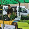 photo aurore mary a installé un stand de ses produits maraîchers sur le marché du samedi de saint-antoine