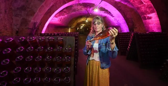 photo  depuis 2022, la maison veuve amiot décline les journées du patrimoine au féminin.  &copy;  franck dubray / ouest france 