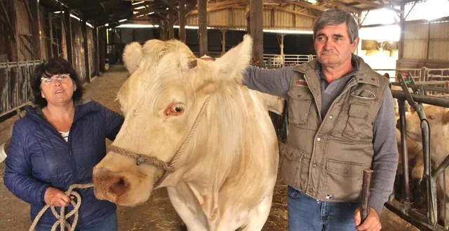 photo  l’élevage, situé à villaines-sous-malicorne (sarthe), compte entre 220 et 230 bovins, sur 90 hectares de prairie et 150 hectares en tout. éric et françois guilvard souhaitent s’en séparer fin 2024.  &copy;  le maine libre 