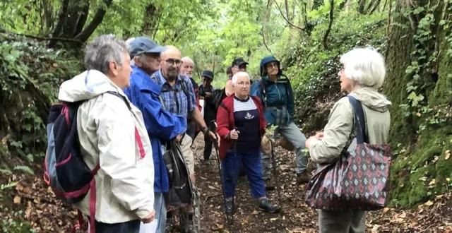 photo  édith a agrémenté la balade de légendes, et d’explications concernant les usages anciens des arbres et des plantes.  &copy;  le maine libre 