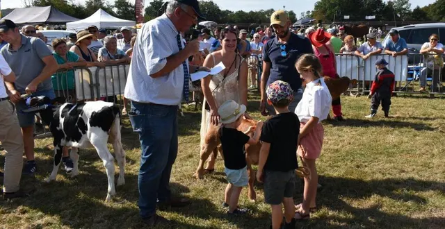 photo  la présentation des petits veaux présentés par les fils et filles d’agriculteurs est une animation très prisée.  &copy;  le maine libre 