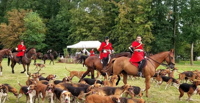 photo  la reconstitution d’une journée de chasse a animé la journée du 17 septembre 2023, à carrouges (orne).  &copy;  ouest-france 