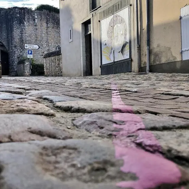 photo la ligne rose serpentant les rues du centre-ville dans le cadre du projet vi(e)sages datant de 2021.  ©  ouest-france