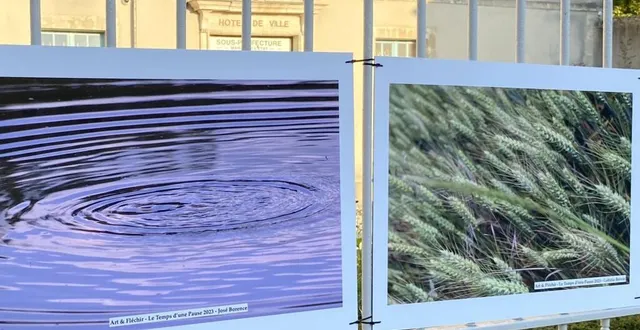 photo  les photos sont sur les grilles de la mairie.  &copy;  le maine libre 