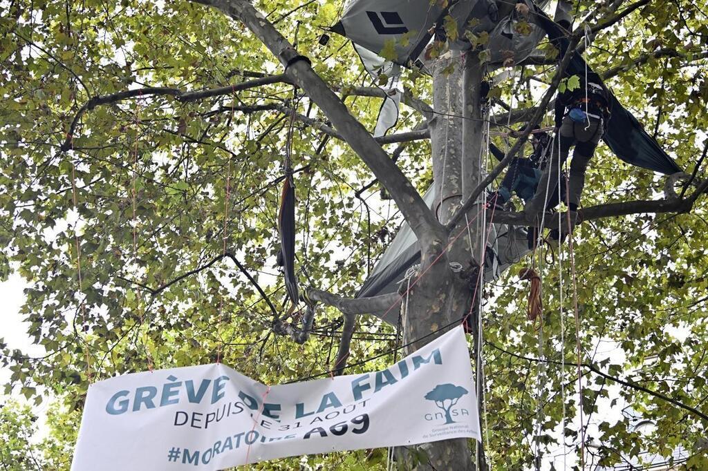 Portrait Qui Est Thomas Brail Lhomme Perch Dans Un Arbre Paris Contre Lautoroute A