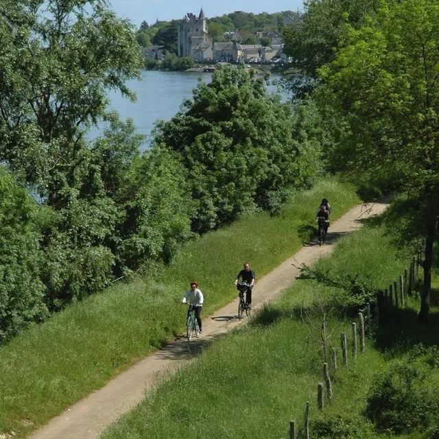 Dès la sortie de Montsoreau, on peut prendre, un temps, ce beau cheminement de bord de fleuve. © Michel Bonduelle photo dès la sortie de montsoreau, on peut prendre, un temps, ce beau cheminement de bord de fleuve. © © michel bonduelle
