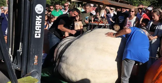 photo  medhi daho, champion de france des légumes géants, avec un potiron de 868,5 kg.  &copy;  ouest-france 