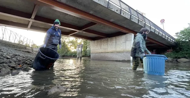 photo  répondant à l’appel de la gaule alençonnaise, une douzaine de personnes ont nettoyé les berges de la sarthe, samedi 23 septembre 2023, à alençon.  &copy;  ouest-france 