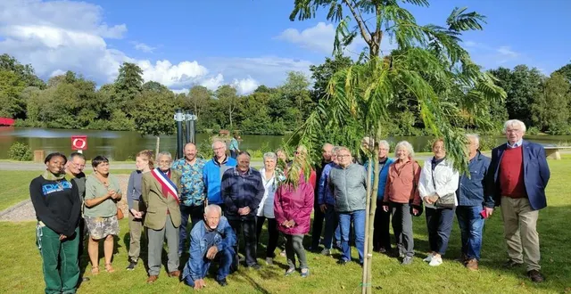photo  l’albizzia, déjà d’une taille importante, fournira de l’ombre très rapidement et sera bien soigné par charly, le jardinier.  &copy;  ouest-france 