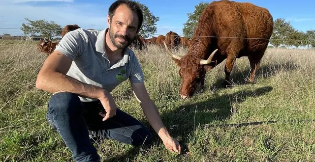 photo  sébastien champion dans une partie pâturée de ses champs, à l’herbe rase. derrière lui, le troupeau de vaches salers vient d’investir pour la journée un nouveau carré d’herbes hautes.  &copy;  le maine libre 