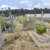 photo  le cimetière communal fait partie des lieux difficiles à entretenir. 