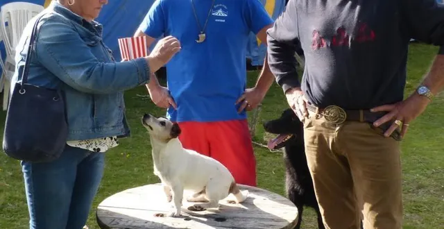 photo  les cours sont dispensés par john fratellini.  &copy;  le maine libre 