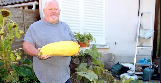 photo  pour expliquer le poids de ses courgettes, philippe leclou émet l’hypothèse suivante : « c’est peut-être parce que le terrain est toujours humide, alimenté par l’eau de ma véranda ».  &copy;  le maine libre 