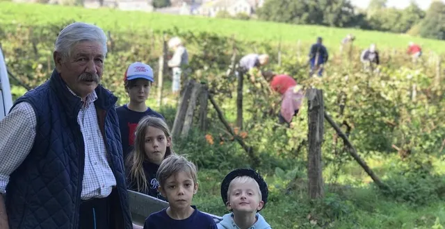 photo  jean-claude bourdon, ses petits-enfants, et des amis ont fait leurs vendanges, ce samedi 30 septembre 2023, dans l’une de ses parcelles de raisin de l’orne à cerisy-belle-étoile.  &copy;  ouest-france 