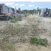 photo  plusieurs parties du cimetière méritent une attention particulière vis-à-vis des mauvaises herbes. 