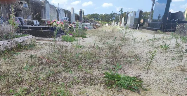 photo  plusieurs parties du cimetière méritent une attention particulière vis-à-vis des mauvaises herbes.  &copy;  co 