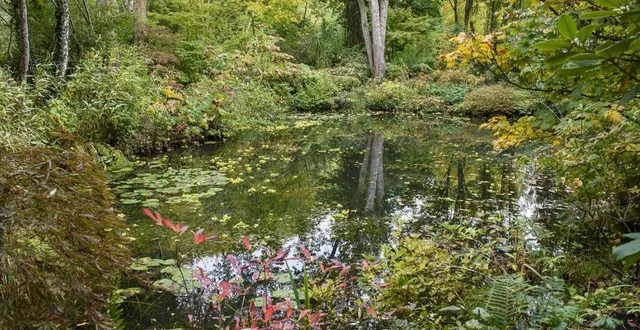photo  l’étang du jardin du petit-bordeaux sert autant à drainer l’eau que de miroir aux arbres et arbustes qui viennent s’y refléter.  &copy;  thomas alamy 