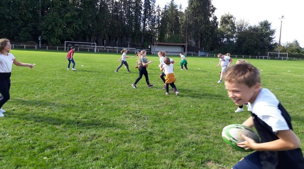 L'école de rugby de Chauvigny mise sur l'effet Coupe du monde
