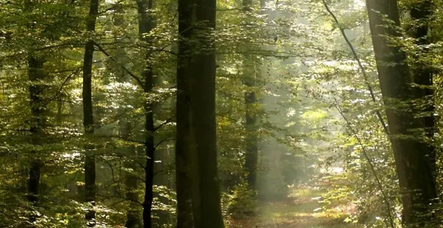 photo  un nouveau rendez-vous ce dimanche avec bercé naturellement.  &copy;  archives ouest-france 