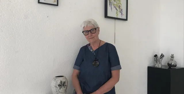 photo  france lamory expose ses œuvres à l’espace xavier-rousseau à argentan (orne).  &copy;  ouest-france 