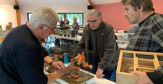 photo  une exposition attendue par les passionnés d’oiseaux.  &copy;  archives 