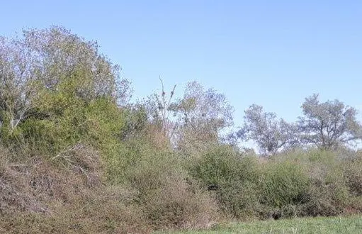 photo  rencontres pour les propriétaires de haies bocagères.  &copy;  4cps 